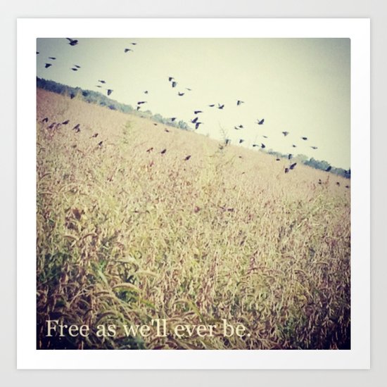 Free Birds Art Print