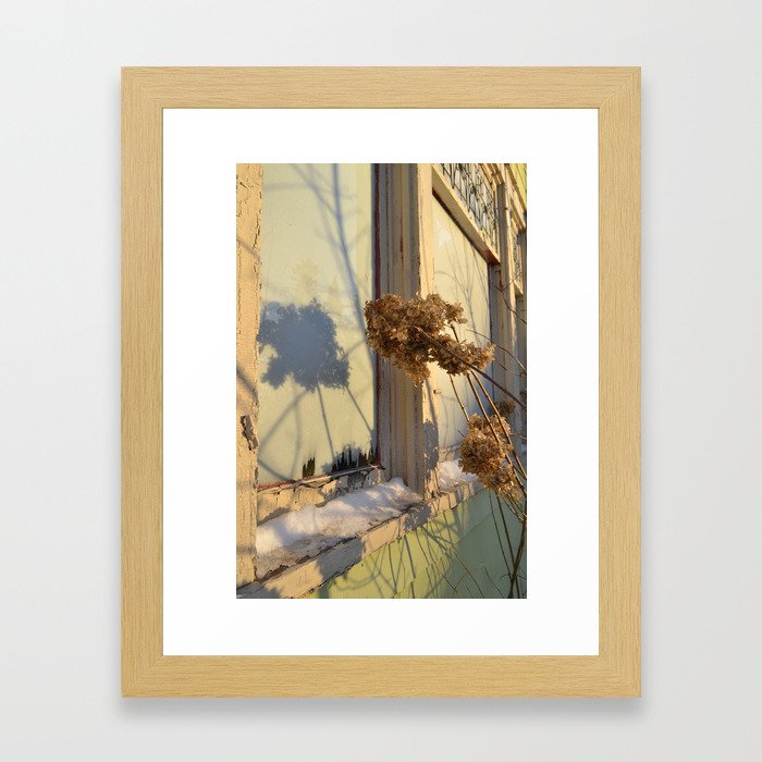 Winter Hydrangeas  Framed Art Print