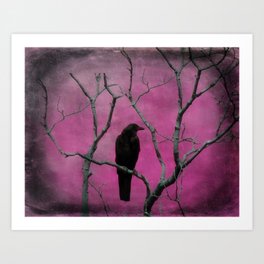 Fuchsia Art Print | Gothicrow, Nature, Photo, Fushia, Animal, Digital Manipulation, Color, Pink, Crow, Landscape 