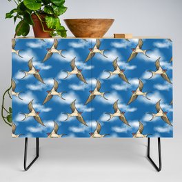 Swallows In the Sky  Credenza