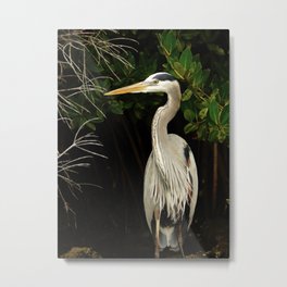 Proud Heron  Metal Print | Photos, Fine Art Photography, Easter Dorm Grad, Photographs Home, Birthday Day For, Vintage Unique Retro, Gift Gifts My, Ocean Nautical, Sympathy Pattern, Photo 