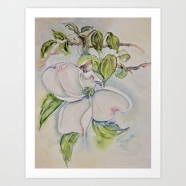 Sweet Blossom  Art Print