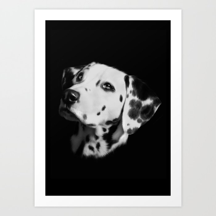 dalmation print top