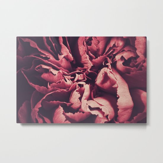 rosy and ruffled Metal Print