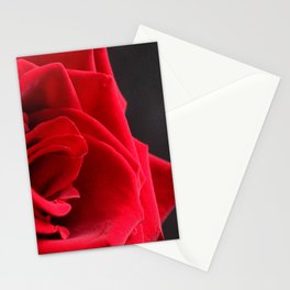 Rose 16 Stationery Card