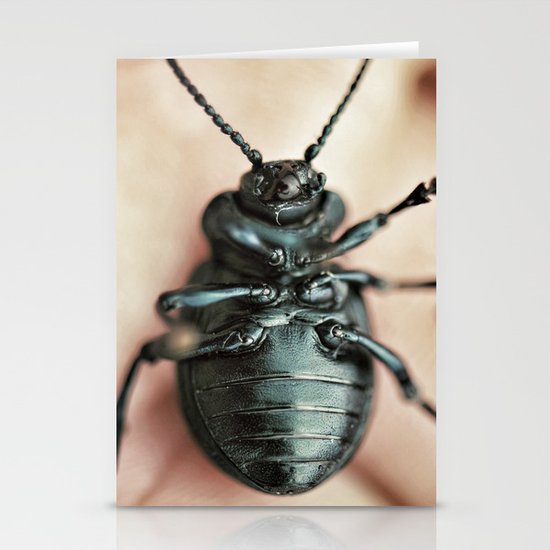 Bug Stationery Cards