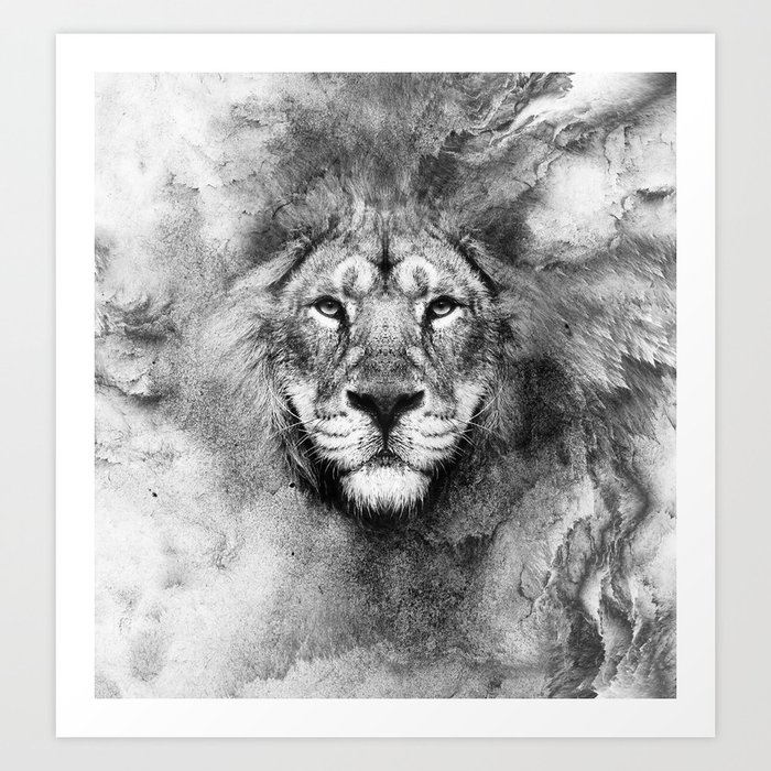 Лев любецкий. Lion Black and White. Lioness Black and White drawing.