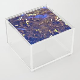 Leaves Floating in Water Acrylic Box