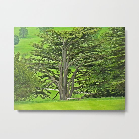 Old English Tree 1 Metal Print
