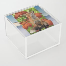 Foxy Woo Acrylic Box