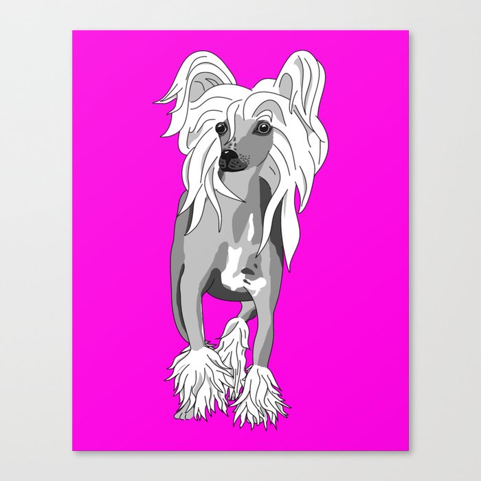 Sassy Chinese Crested Canvas Print