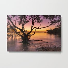 Tropical sunset Metal Print