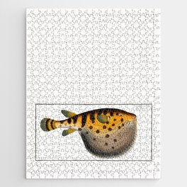 Marcus Elieser Bloch - Starry Globe-fish Jigsaw Puzzle
