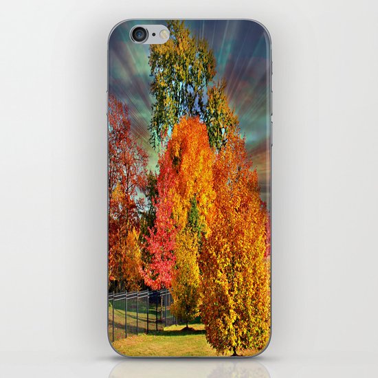 Autumn Splendor iPhone & iPod Skin