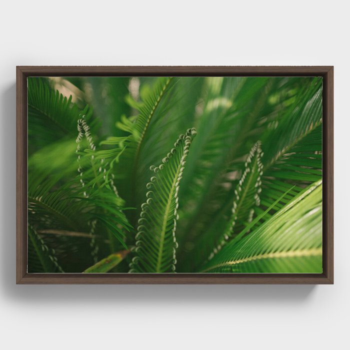 fern composition no. 1 Framed Canvas