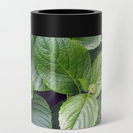 Hydrangea Leaves 2 Can Cooler