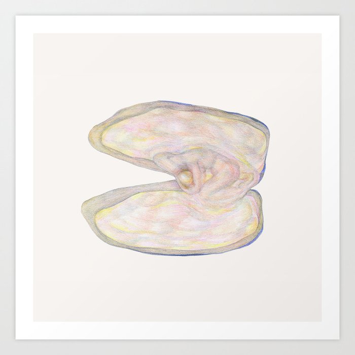 Shell 4 Art Print