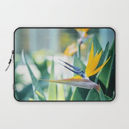 Bird of Paradise Photography, Green Orange Aqua Blue, Tropical Flower Nature Botanical Laptop Sleeve