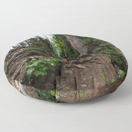 Roots on Mountainside, Colorado Floor Pillow