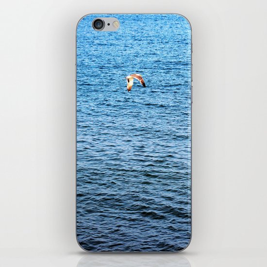 Gliding iPhone & iPod Skin