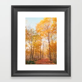 Autumn Glory - Nature, Fall Forest Landscape Photography Framed Art Print