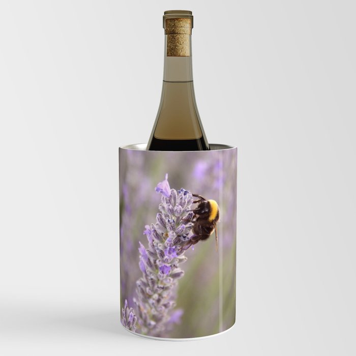 Bumblebee On Lavender Photograph Up Close Wine Chiller