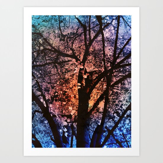 Autumn Sunset Art Print