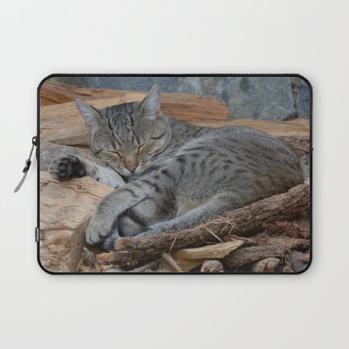 Cats-Pipo Laptop Sleeve