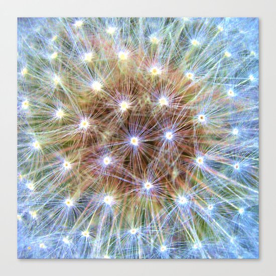 Luminous Colorful Blowball Canvas Print