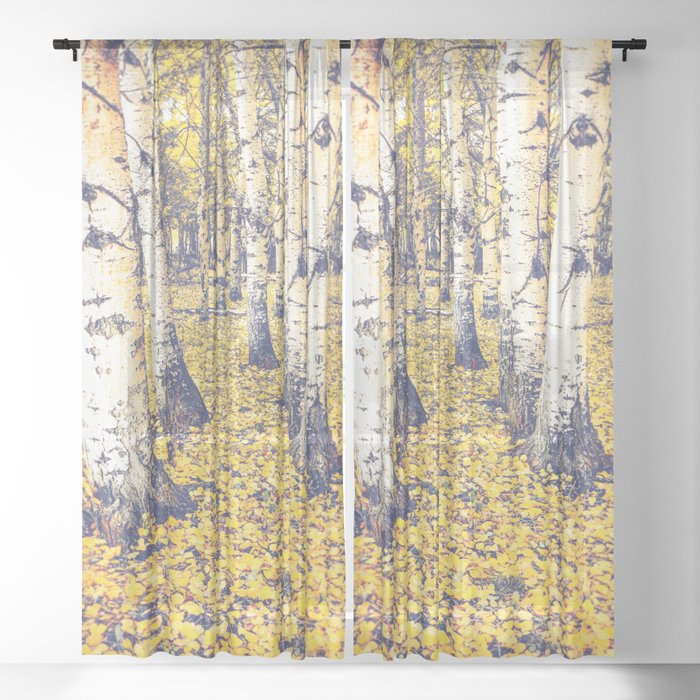 Sheer Curtain
