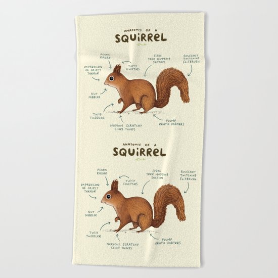 Anatomy of a Squirrel Beach Towel