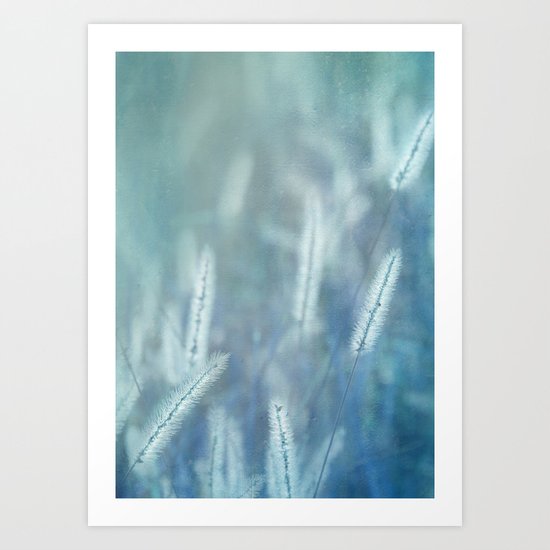 Morning Glory Art Print