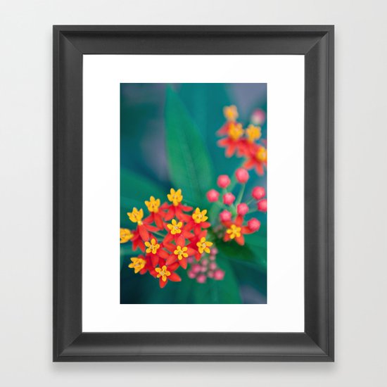 fireworks Framed Art Print