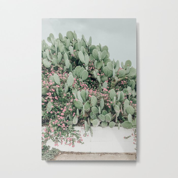 Prickly Pear Cactus and Flowers, Austin, Texas Metal Print