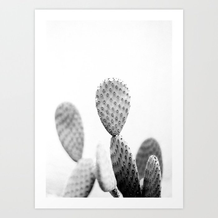 Black and white Cactus | Botanical film photography art Art Print