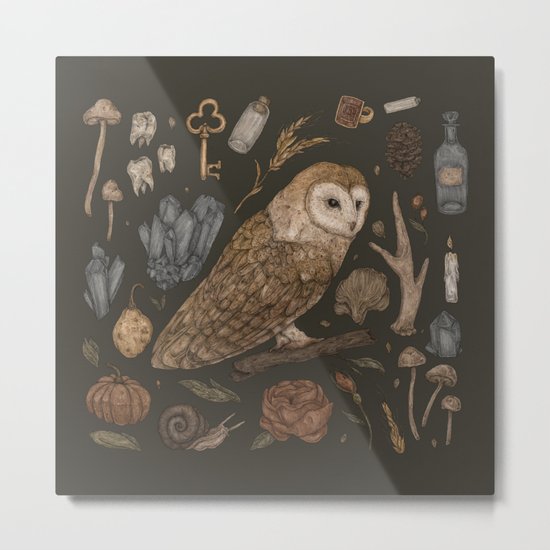 Harvest Owl Metal Print