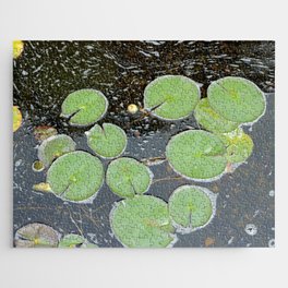 Little Pond with Big Lily Pads Jigsaw Puzzle