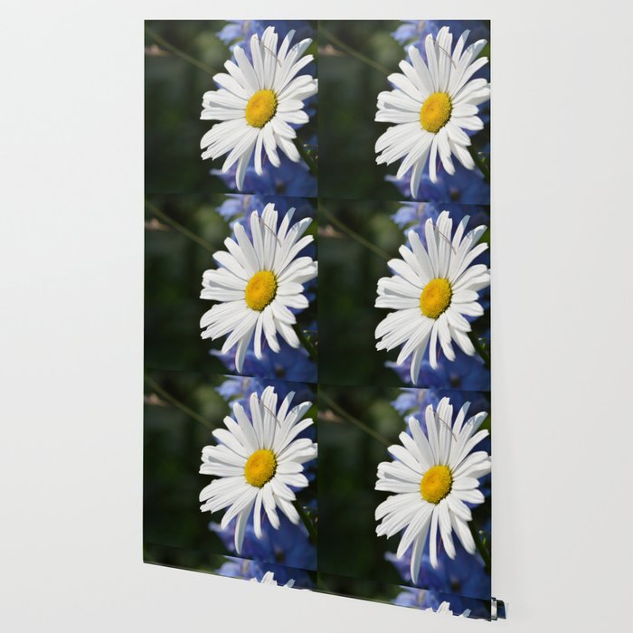 Featured image of post Oxeye Daisy Minecraft Flowers Names