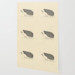 Monochrome Hedgehog Wallpaper