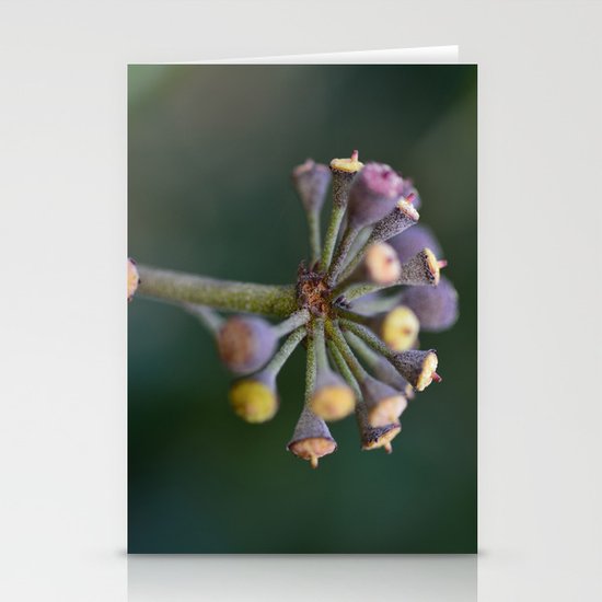 Wild Ivy Stationery Cards