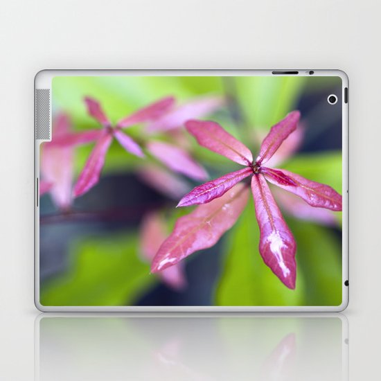 Star Light Star Bright Laptop & iPad Skin