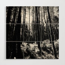 Scottish Highlands Summer Living in Black and White Wood Wall Art
