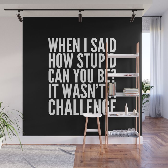 When I Said How Stupid Can You Be? It Wasn't a Challenge (Black & White) Wall Mural