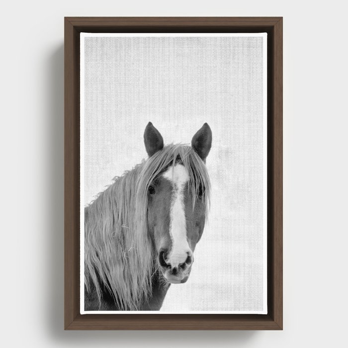Horse Portrait Framed Canvas