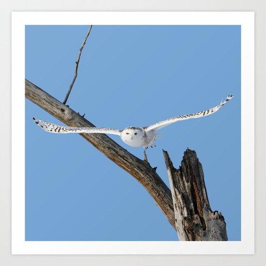 I've got my sight set on you Art Print