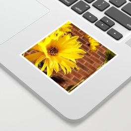 Sunshine Flowers Sticker | Outdoor, Nature, Jerusalemartichoke, Photo, Sunflower, Canadian, Quebec, Flowering, Garden, Yellow 