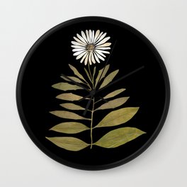 Beautiful real pressed white daisy herbarium  Wall Clock