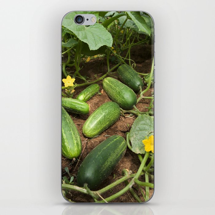 Cucumbers iPhone Skin