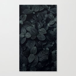leaves green Canvas Print
