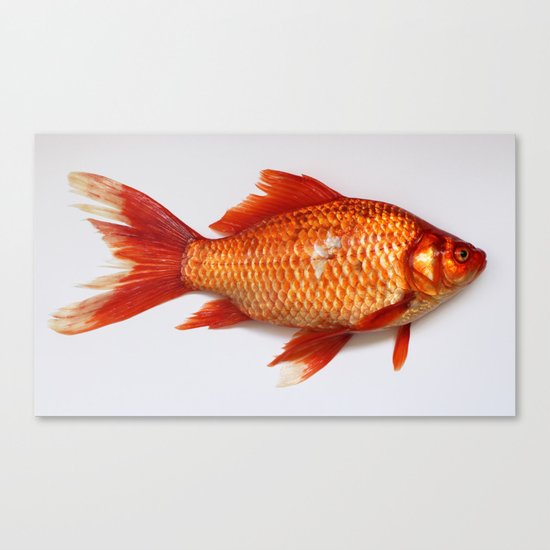 Red Gold Fish Canvas Print